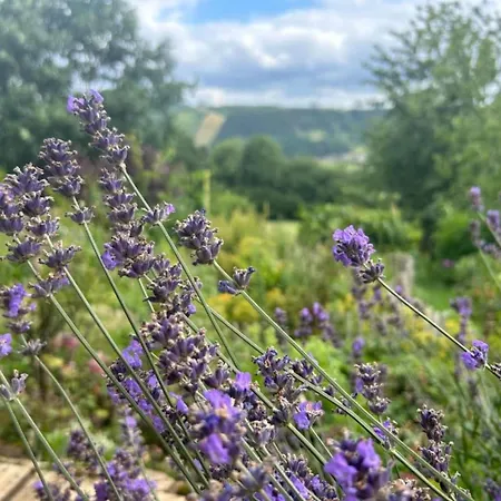 Apartment Cozy Nature Escape, Stoumont