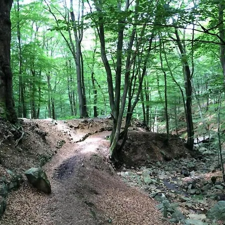 Cozy Nature Escape, Stoumont Apartment Stoumont