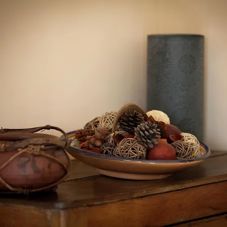 Cozy Nature Escape, *