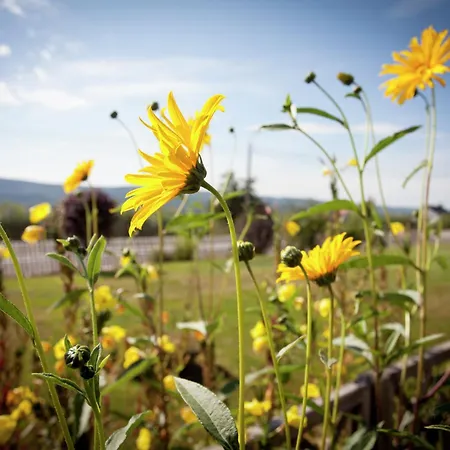 Apartament Cozy Nature Escape,