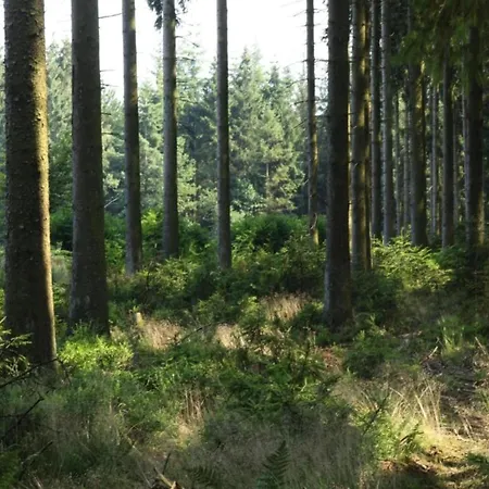 Cozy Nature Escape, Apartament Stoumont