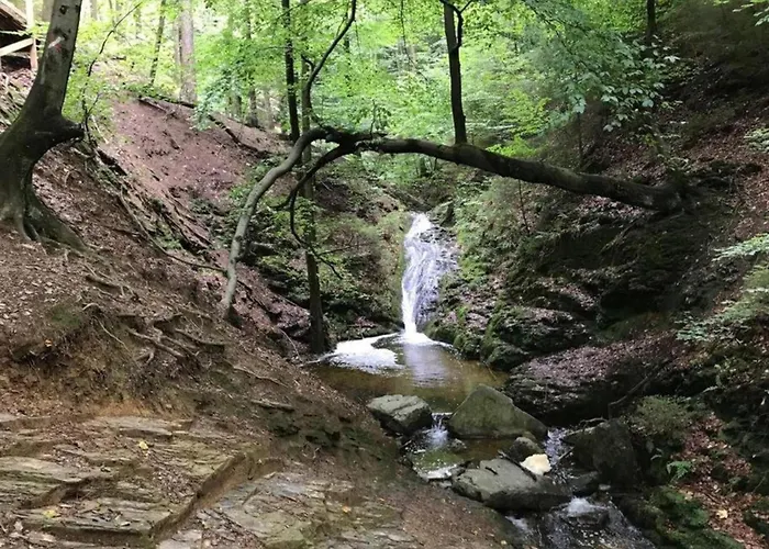 Apartament Cozy Nature Escape,