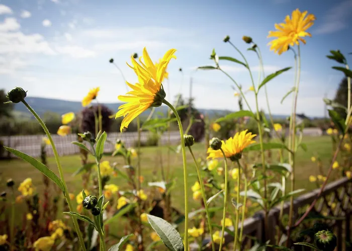 Apartament Cozy Nature Escape,